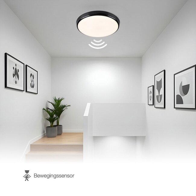 Deckenleuchte schwarz Ø35,2 cm mit Sensor und einstellbarer Farbtemperatur