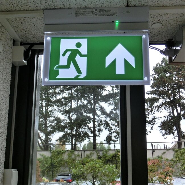 Éclairage de secours en saillie inclinable OTG-FF