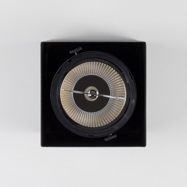 AR111 Downlight 1 lumière Willow - noir