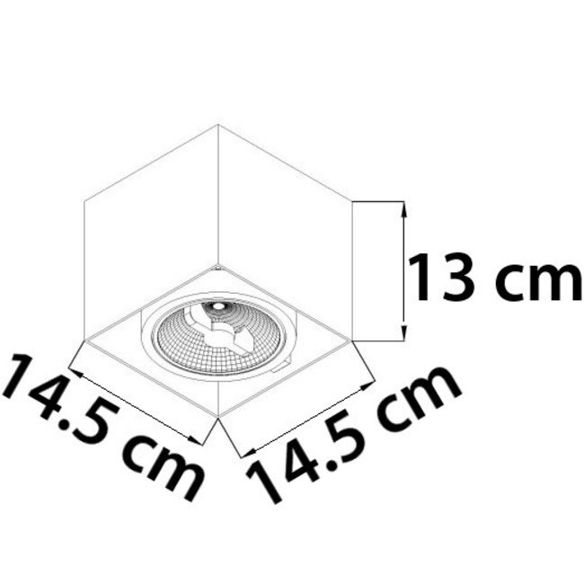 AR111 Downlight 1 lumière Willow - noir