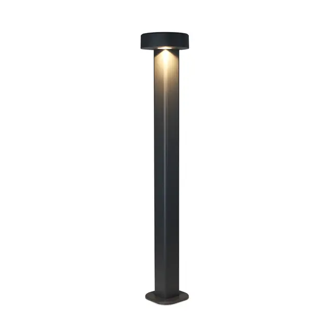 Lampe d'extérieur sur pied Ferris anthracite à LED intégrée - 80 cm