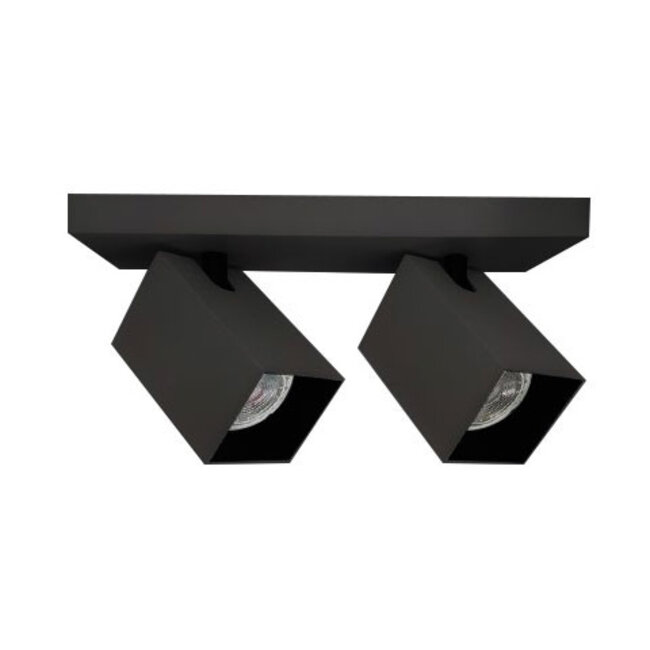 Plafonnier industriel 2 lumières Boy - noir mat