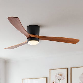 Ventilateur de plafond Rani à pales en chêne avec LED