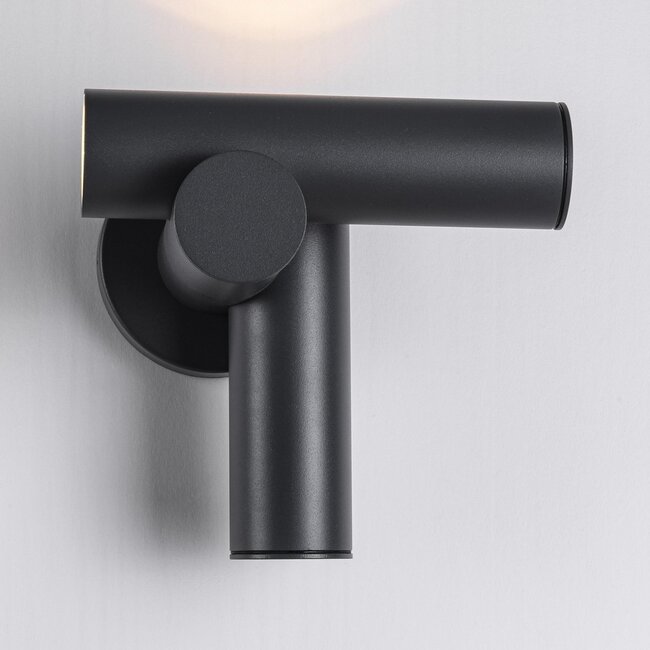 Applique orientable pour extérieur Thekla - anthracite