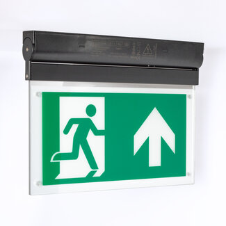 Eclairage de secours inclinable en saillie OTG-FF - noir