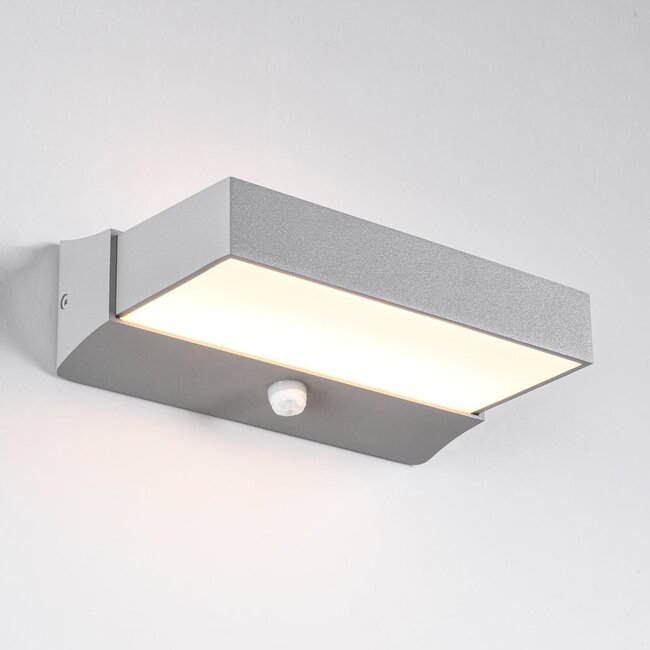 Applique murale extérieure Onyx avec détecteur - argent avec LED intégrée
