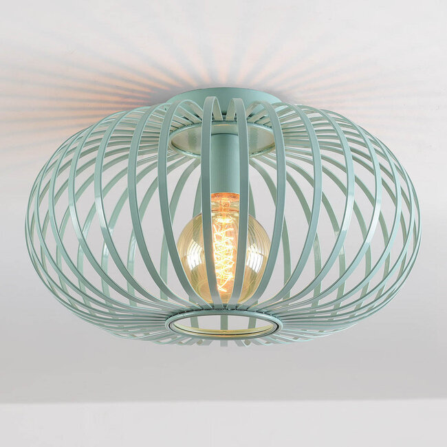 Plafonnier à 1 lumière Fiore - vert bleu