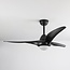 Ventilateur de plafond Wieke - noir avec température de couleur réglable