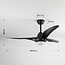 Ventilateur de plafond Wieke - noir avec température de couleur réglable