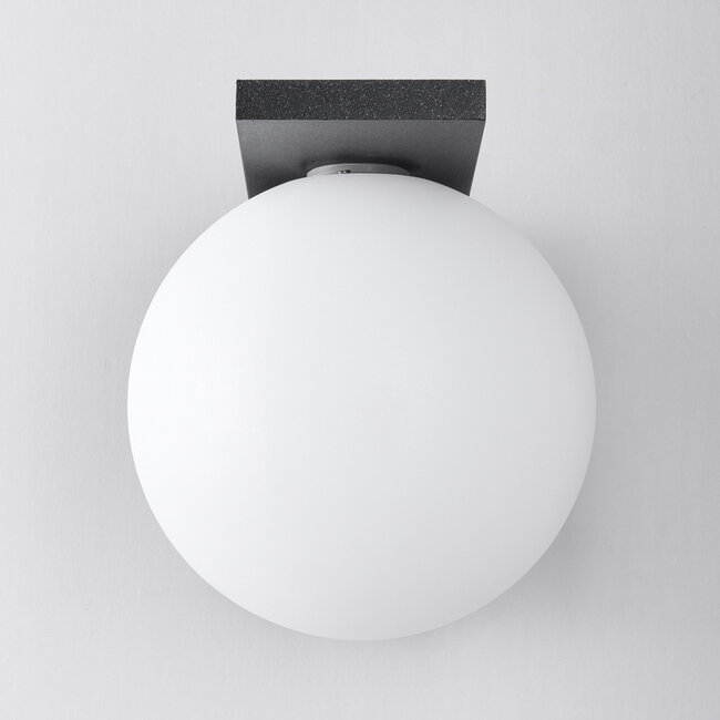 Applique d'extérieur anthracite avec abat-jour en polycarbonate blanc laiteux - Luna