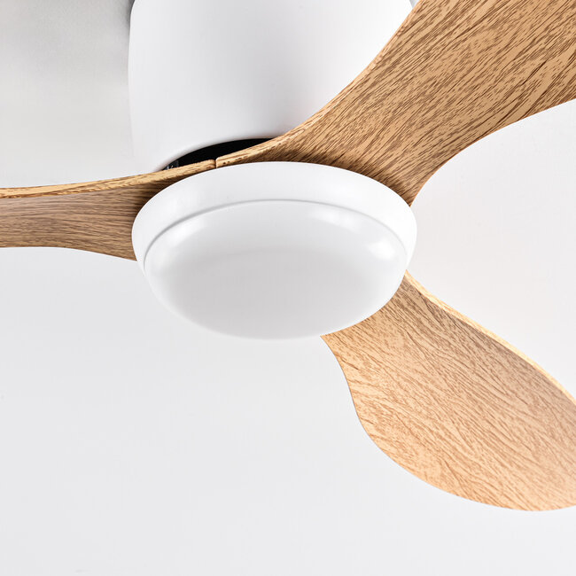 Ventilateur de plafond été/hiver Circo avec température de couleur réglable - aspect bois