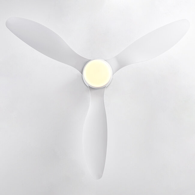 Ventilateur de plafond été/hiver Circo blanc avec température de couleur réglable