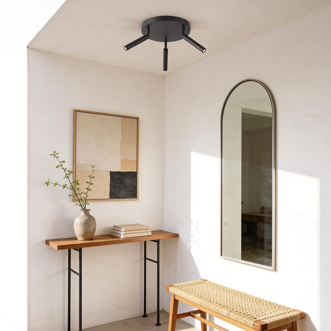 Plafonnier noir Dora avec trois spots orientables