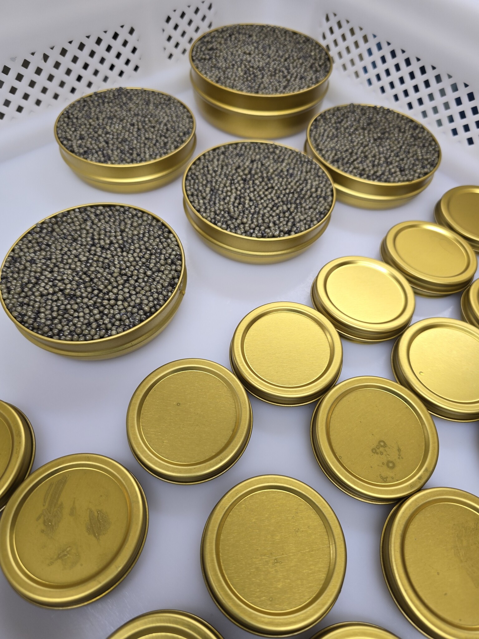 Osetra Caviar