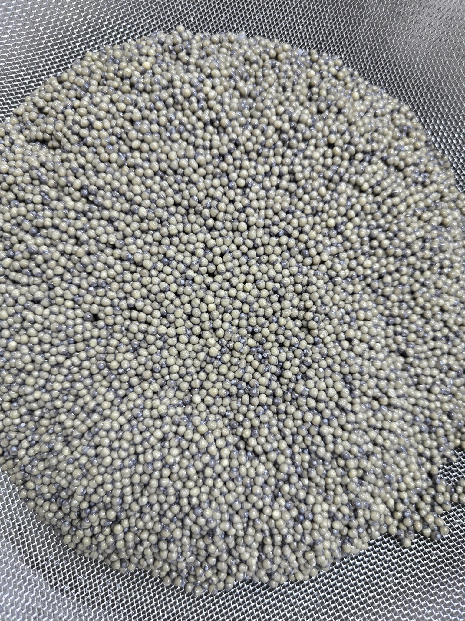 Osetra Caviar