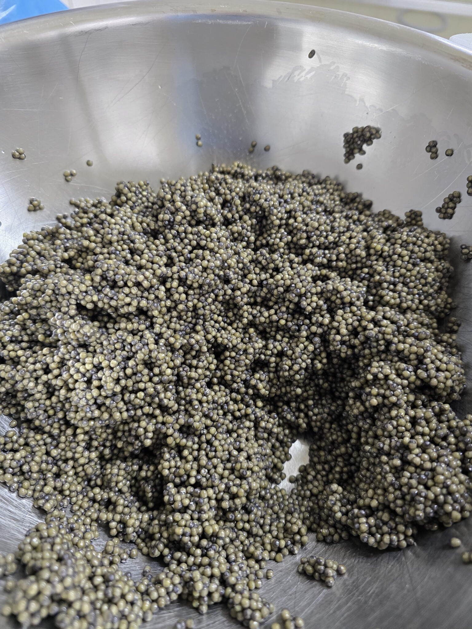 Osetra Caviar
