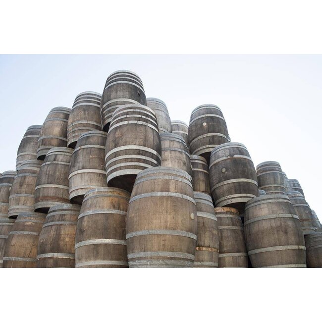 Eiche Weinfass "Brandy" Vermietung