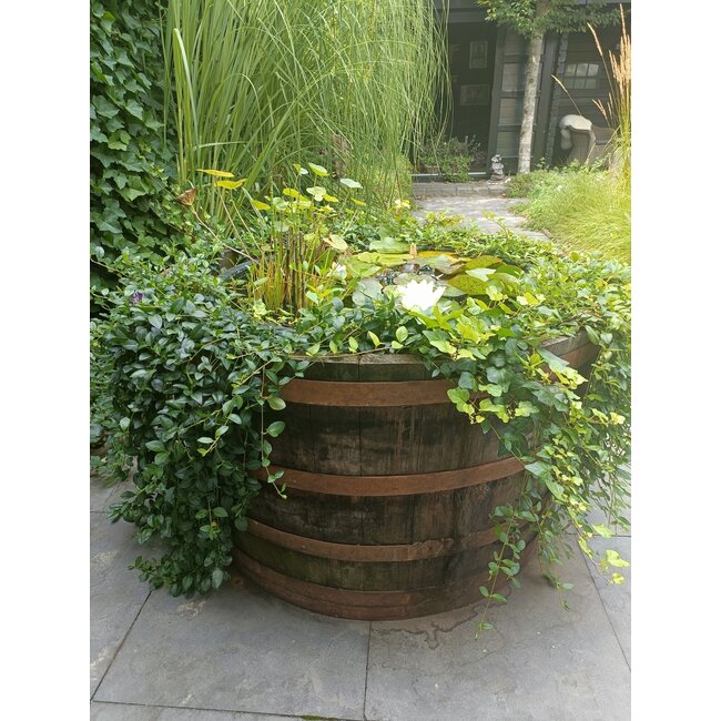 Whisky kübel "XL"