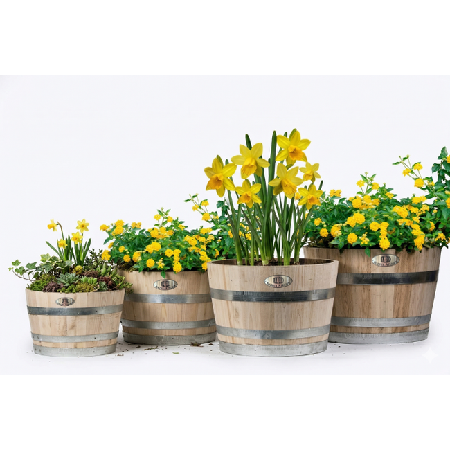 Kübel 'ALENTEJO' Naturel Schrankanienholz