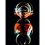 Whisky Glas The Glencairn 6 stück