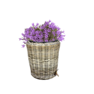Rotan Regentonne Grau 40 Liter
