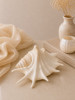 Deco Schelp Coastal Chic