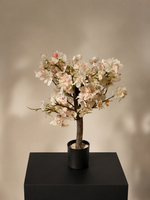 Mini Bloesem Boom wit/roze