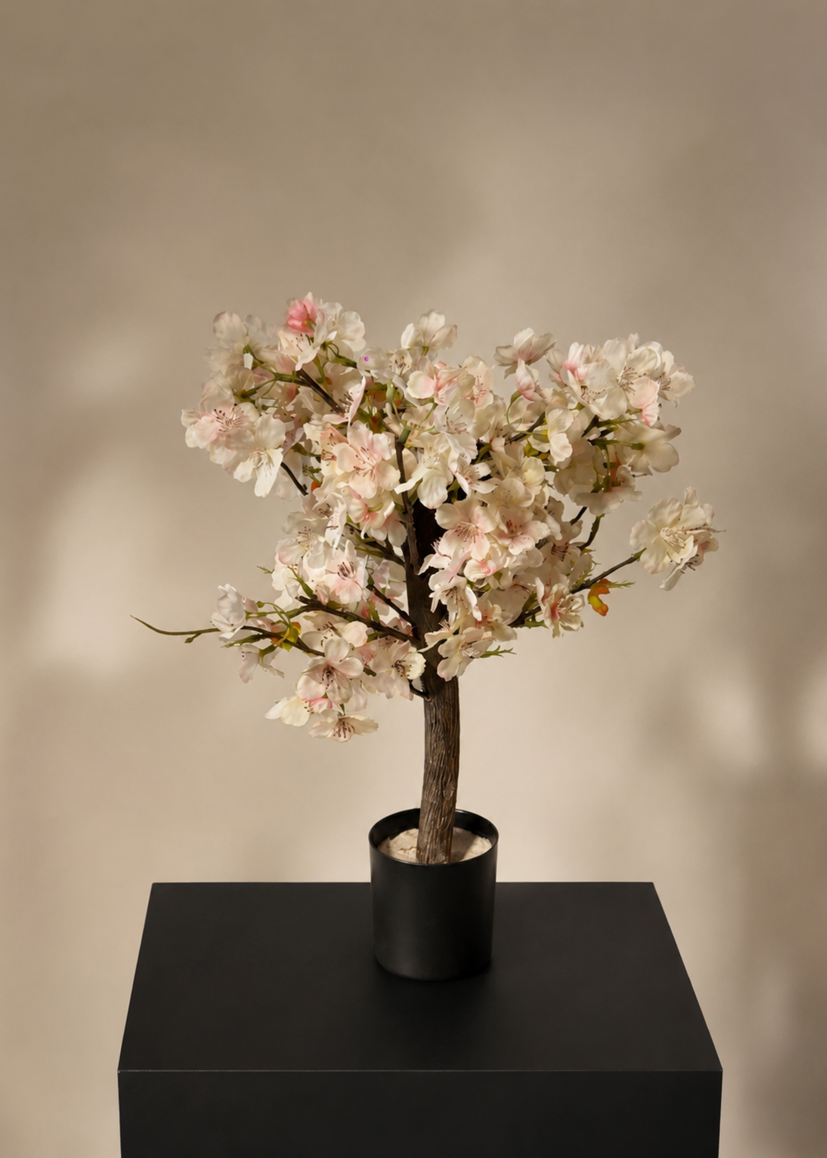 Mini Bloesem Boom wit/roze