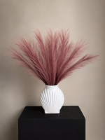 Schelpen Vaas met Pampas