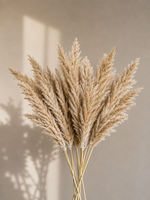 Pampas Takken Beige 10stuks