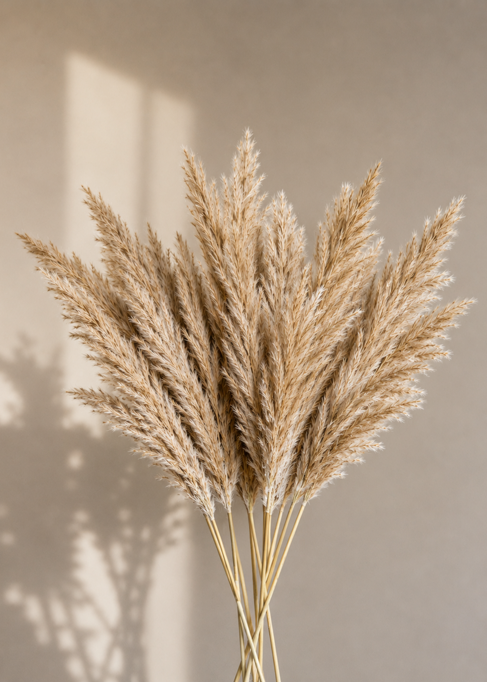 Pampas Takken Beige 10stuks