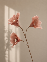 Tak Bella Rosa
