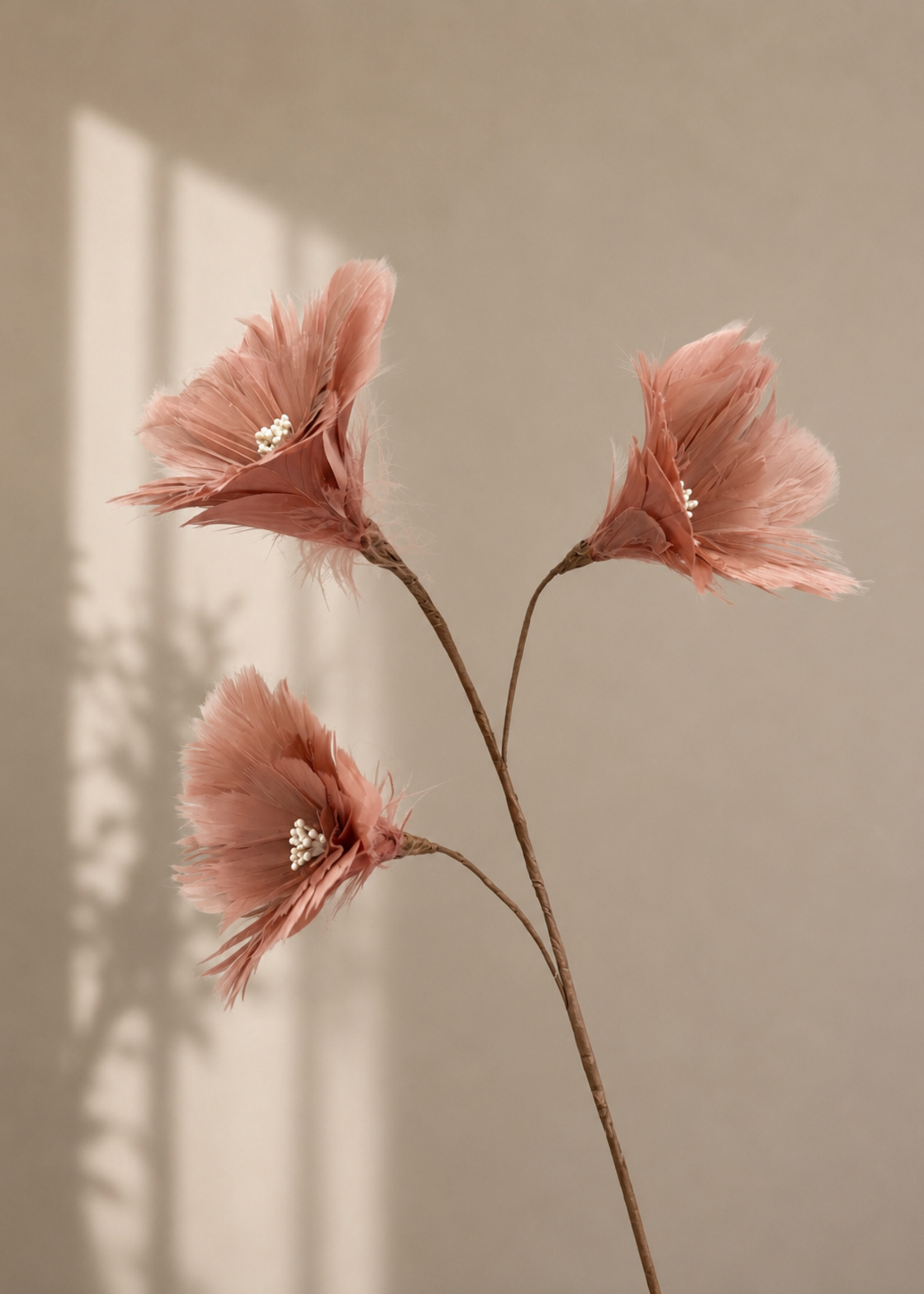 Tak Bella Rosa