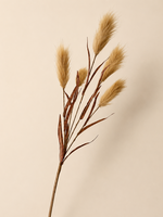 Tak Velvet Plume