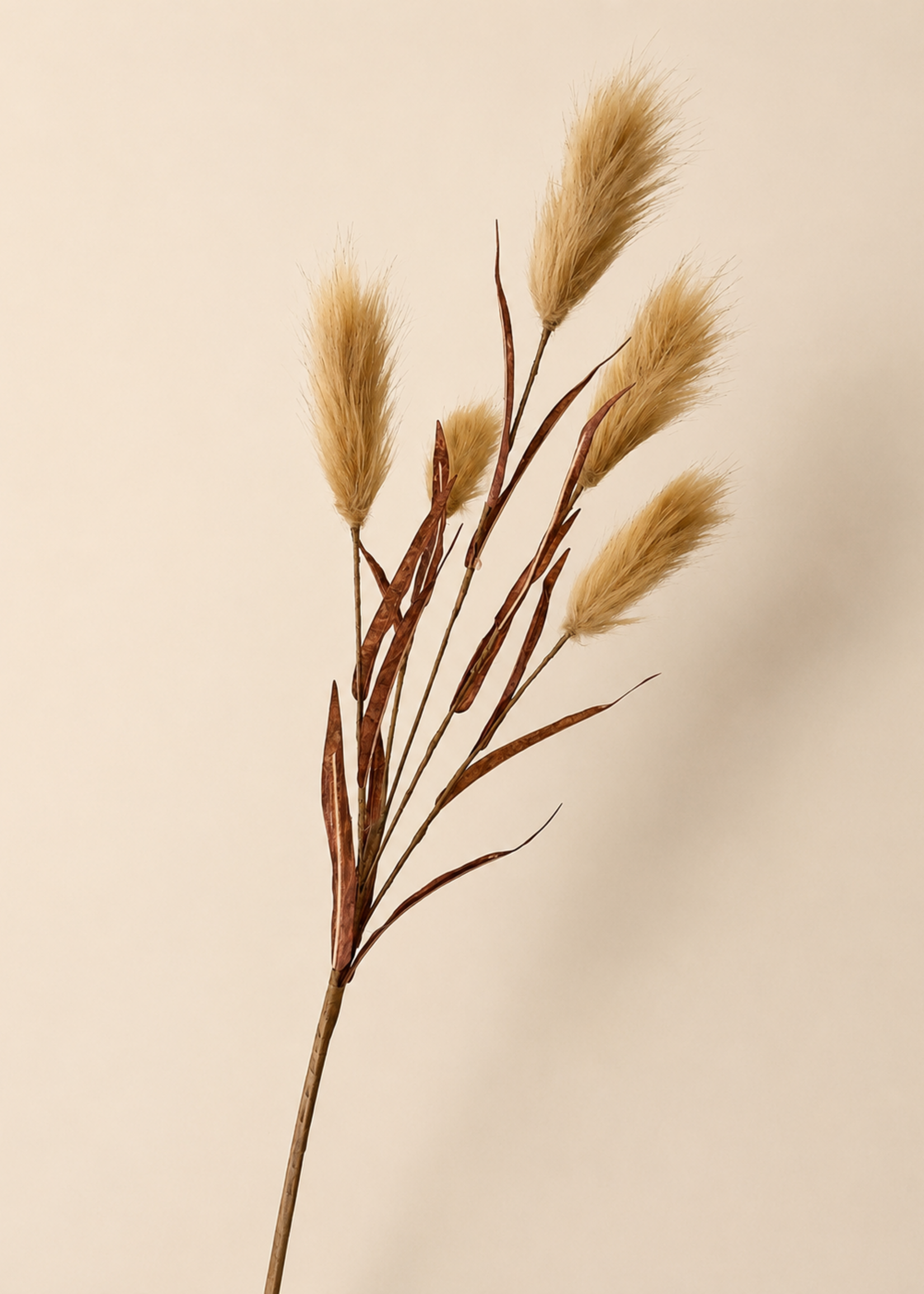 Tak Velvet Plume