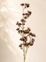 Tak Brown Gold Blossom