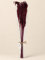 Droogbloemen Takken 7stuks  Aubergine