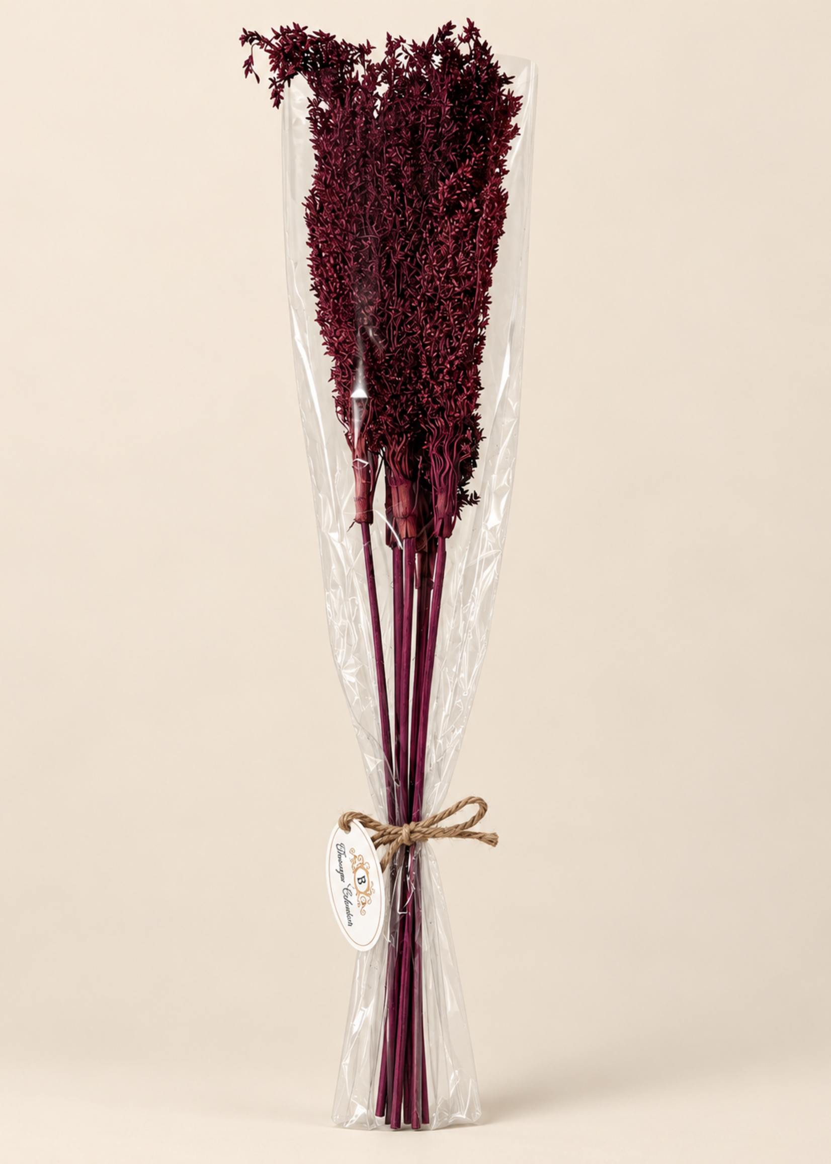 Droogbloemen Takken 7stuks  Aubergine