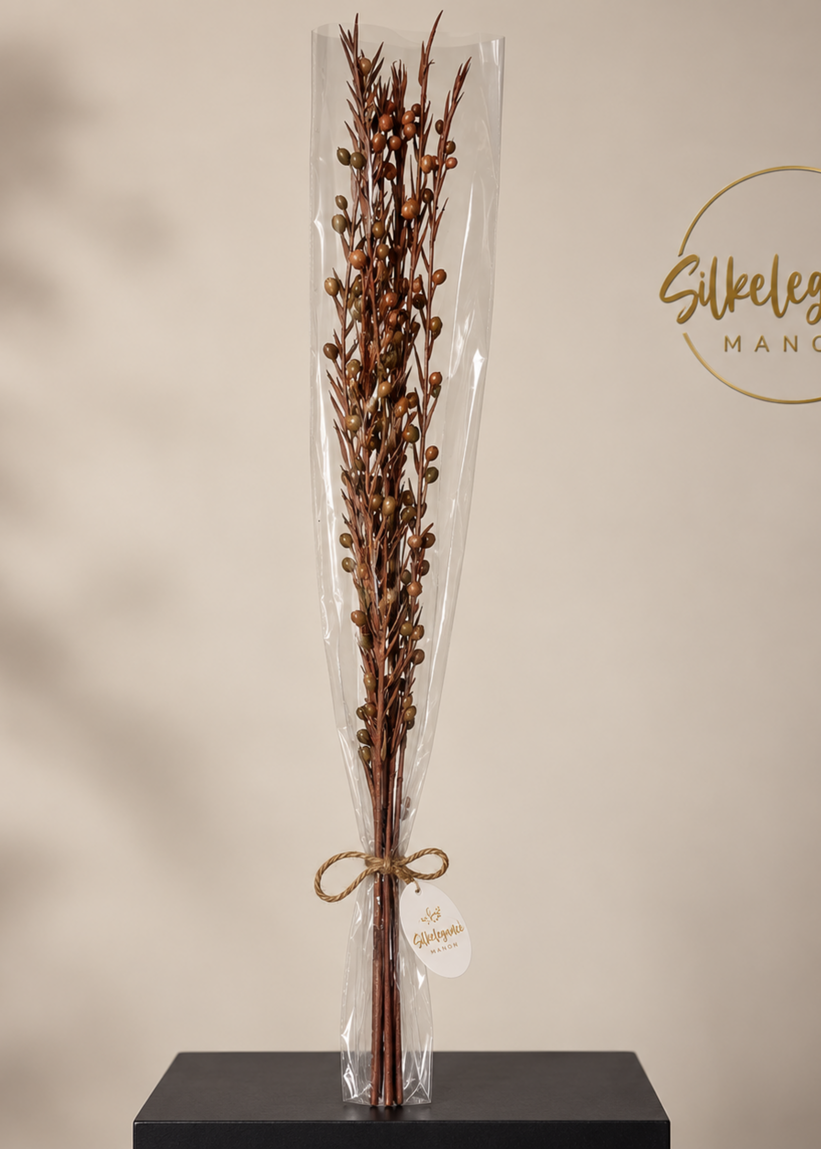 Droogbloemen Takken 7stuks Bruin