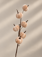 Tak Pompoen Beige