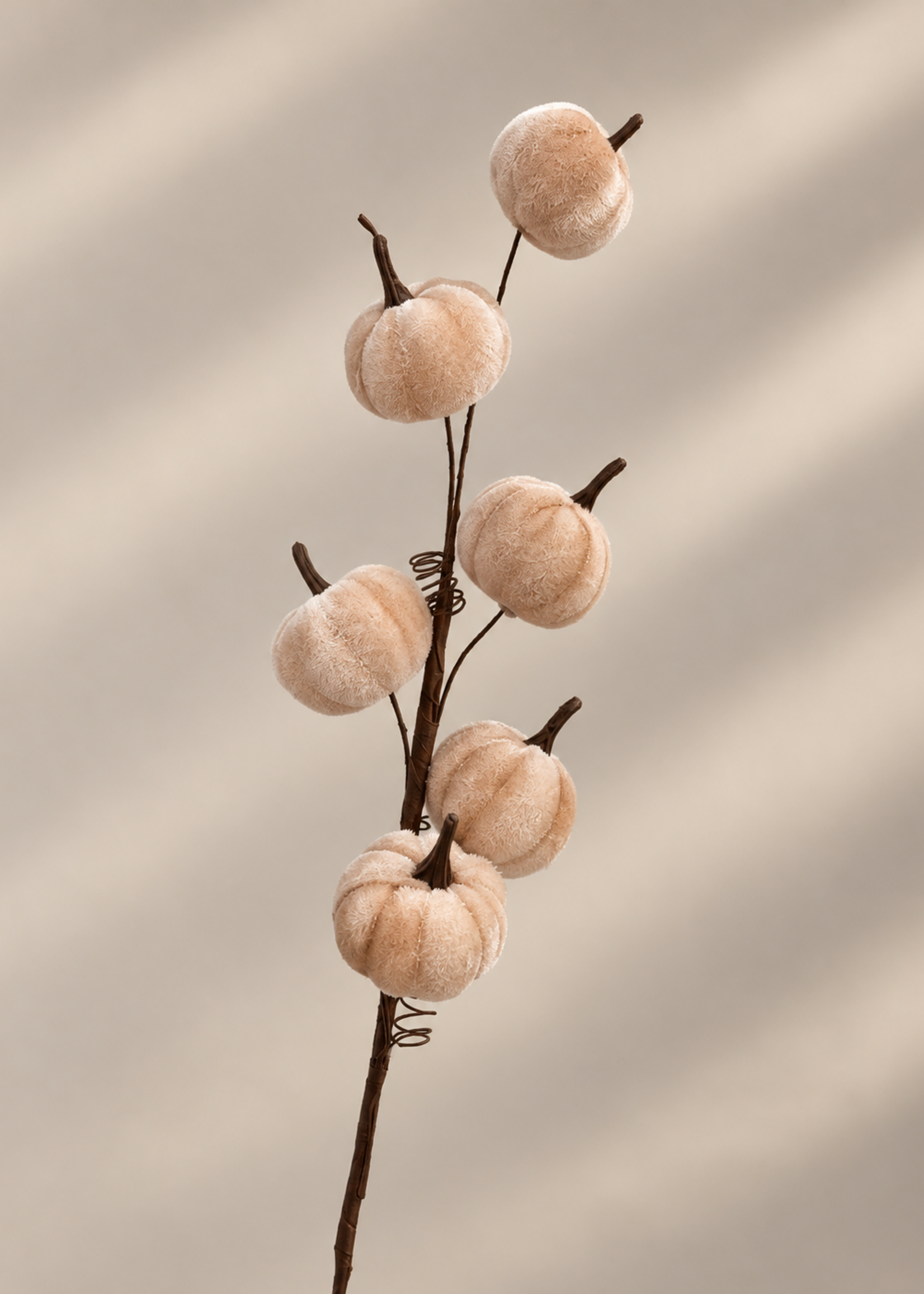 Tak Pompoen Beige