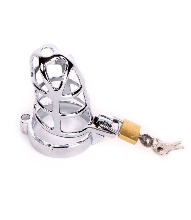 RVS Penis Chastity Cage Met Open Voorzijde En Veilig Hangslot