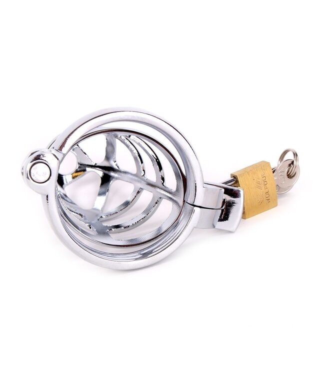 Stainless Steel Chastity Cage with Lock - Secure and Pleasure-Enhancing