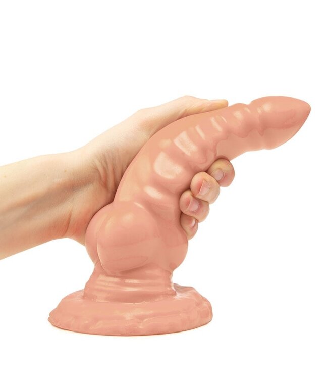Animals Lebensechter T-Rex-Dildo 21 cm | Realistische Tierform aus PVC