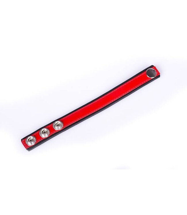 Kiotos Leather Regenbogenfarbener Leder-Cock Strap – Elegante Farbauswahl für jeden Stil