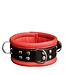 Kiotos Leather Robustes Kiotos-Lederhalsband mit Nieten | Langlebig & bequem 45 cm