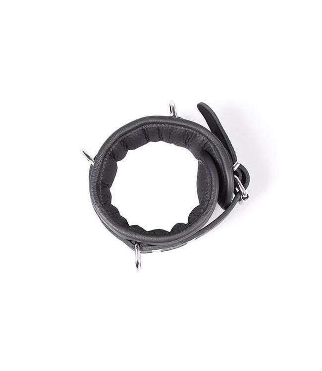 Kiotos Leather Black Professional 7cm Collar with Silver Studs & D-Rings by Kiotos