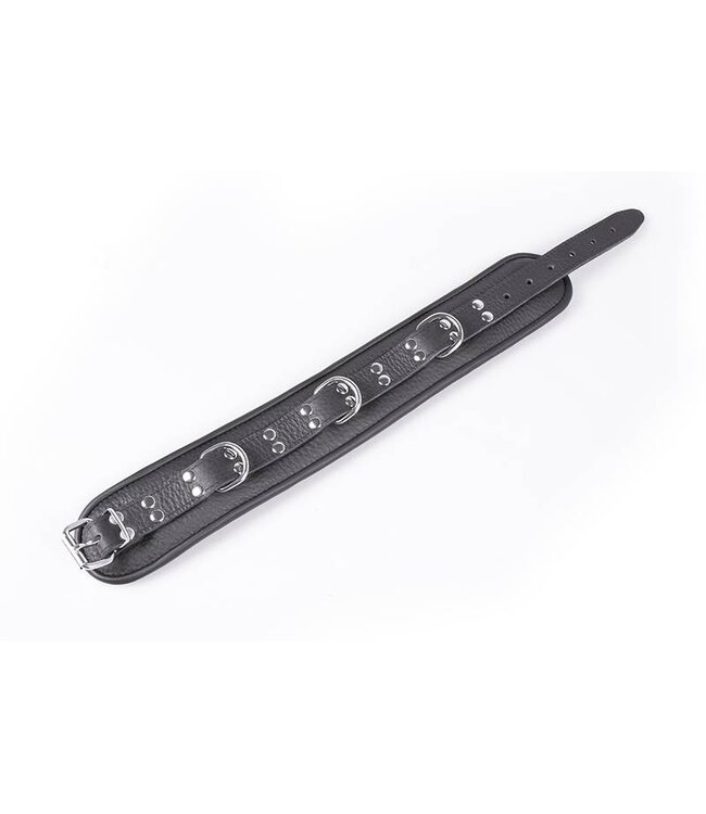 Kiotos Leather Zwarte Leren Halsband 7 cm Met Dubbele Zilveren Studs En D-Ringen | Kiotos