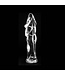 Dinoo Liaoxiornis 22cm Realistic Dildo – Safe, Ergonomic Pleasure Tool