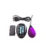 Virgite Rechargeable Purple Vibrating Egg with 10 Modes & Remote Control